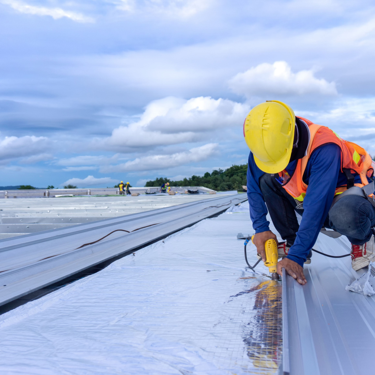Insulating the roof of a steel frame building